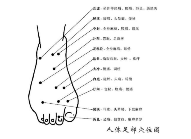 经络图